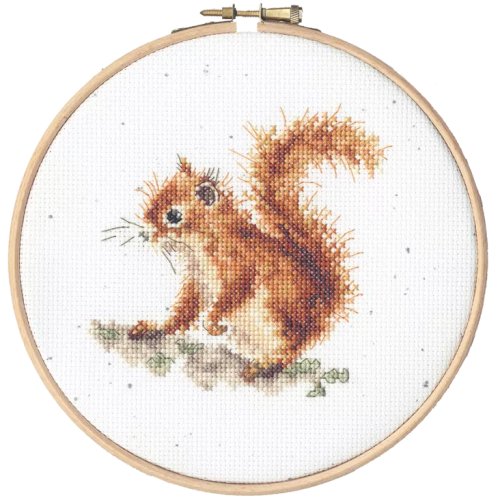 (image for) Acorns